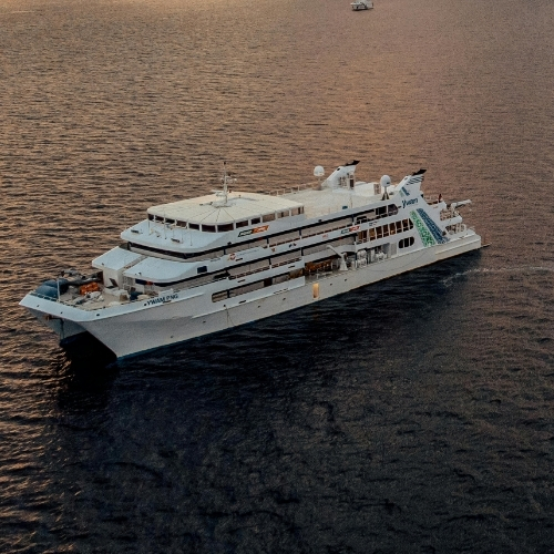 MSC Cruises